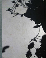 156px image